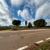 Terreno Edificabile di circa 2 Ettari