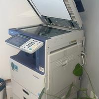 Stampante Toshiba e-Studio 2555cse