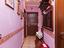 Immagine 14