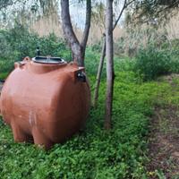 Cisterna PVC 1000 LT. a maialino