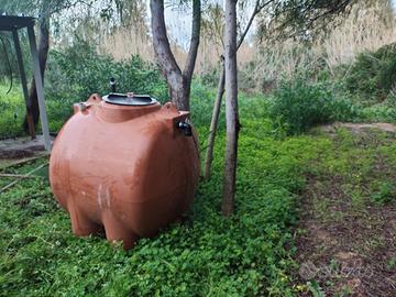 Cisterna PVC 1000 LT. a maialino