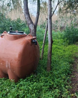 Cisterna PVC 1000 LT. a maialino