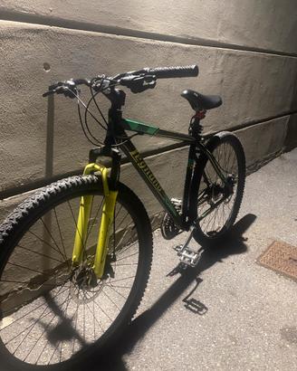 Bicicletta