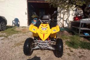 Quad 50 cc targato