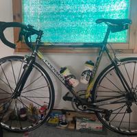 Bici da corsa colnago