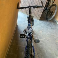 Bici da bambino