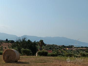 Balloni di fieno