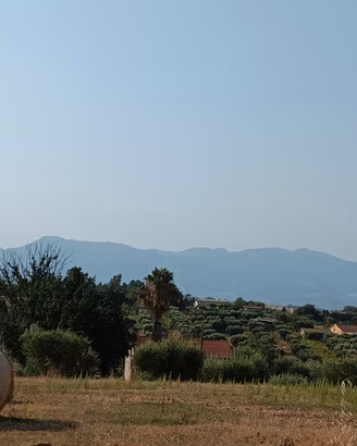 Balloni di fieno