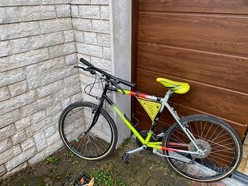 Bici uomo