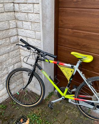 Bici uomo