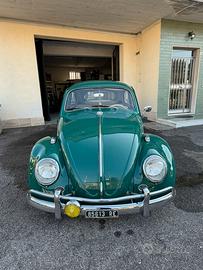 Vw maggiolino 6volt 1964