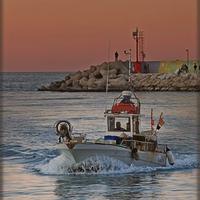 Barca da pesca in vetroresina