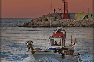 Barca da pesca in vetroresina