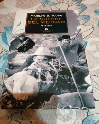 Le guerre del Vietnam 