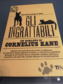 Romanzi contemporanei per ragazzi