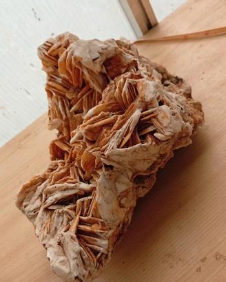 Rosa del deserto