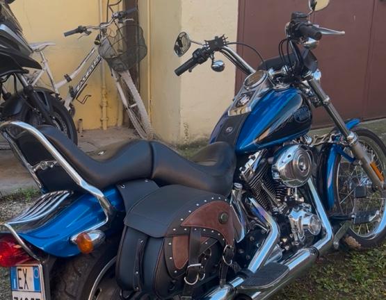 HARLEY DAVIDSON SOFTAIL CUSTOM 1584cc