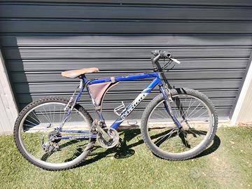 bicicletta mtb