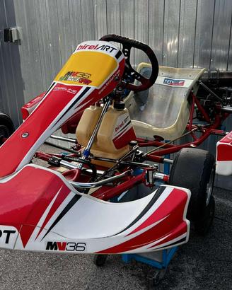 GO KART BIREL Easy 100cc avv elettrico