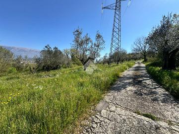 TER. AGRICOLO A ARPINO
