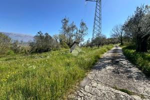 TER. AGRICOLO A ARPINO