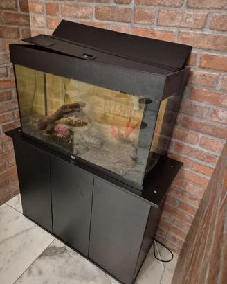 Acquario con accessori e relativo mobile di suppor