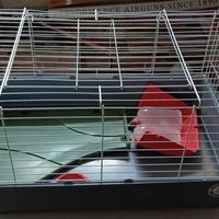 Gabbia per conigli nani o piccoli roditori 