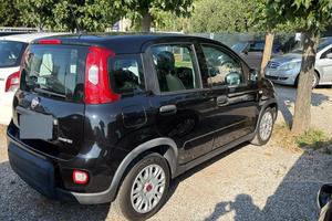 Panda 1.0 FireFly