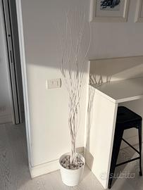 Rami secchi shabby con vaso perfetti