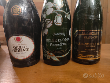 Giulio Ferrari Belle Epoque Marie Noelle Ledru