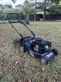 gliaerba professionale Alpina Proline Pro 55 ASK3