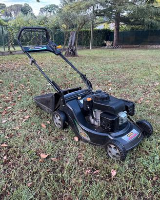 gliaerba professionale Alpina Proline Pro 55 ASK3