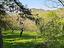 Immagine 26