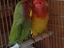 Immagine 2