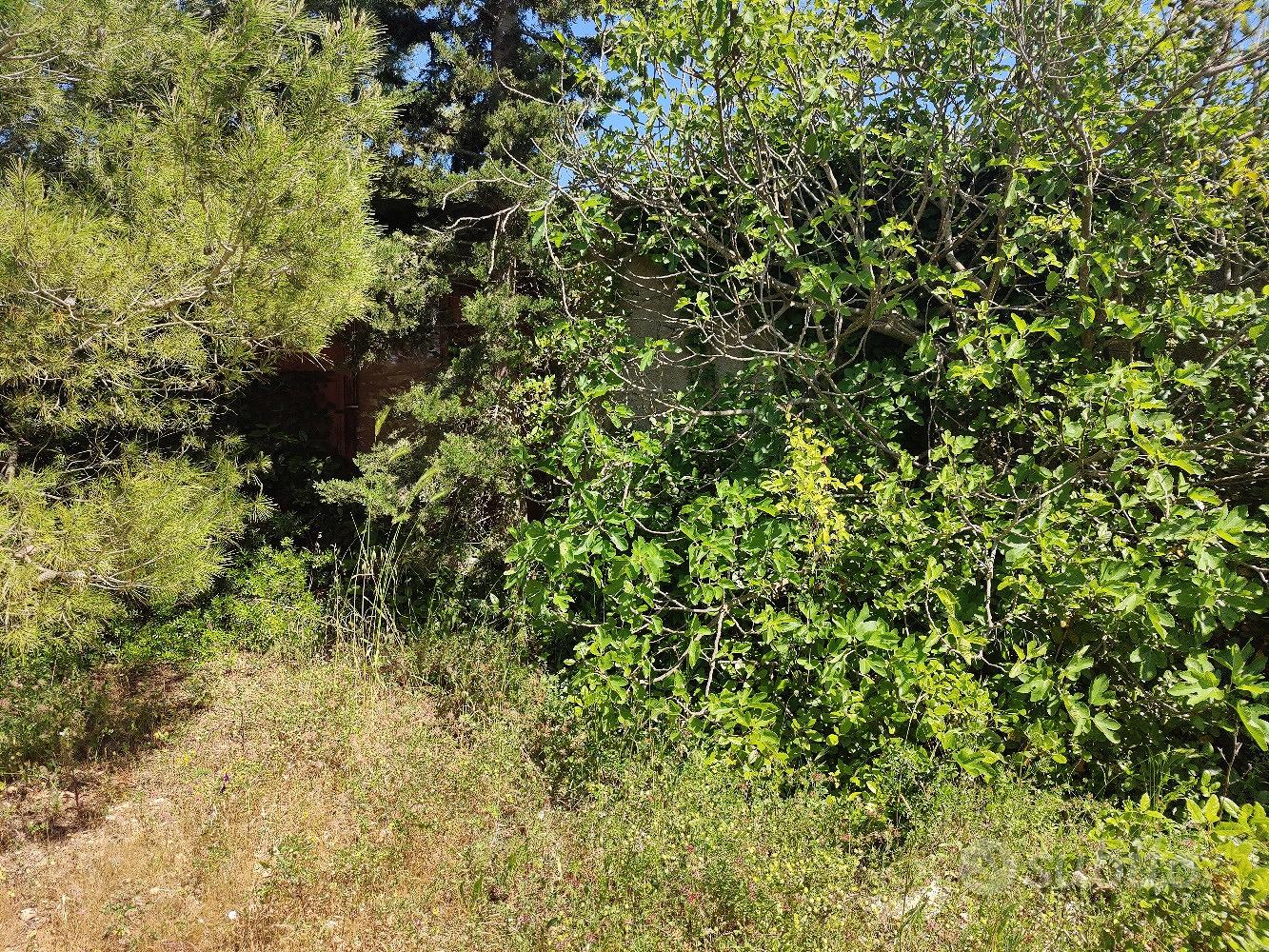 terreno agricolo - Vista 2