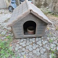 cuccia cane