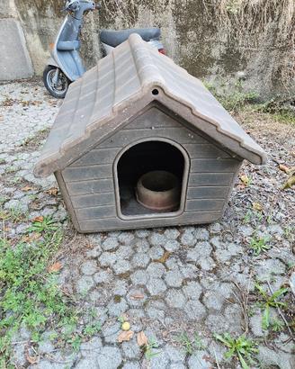 cuccia cane