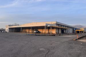 Magazzino 5000mq 4 bocche bilico e ribalta carico