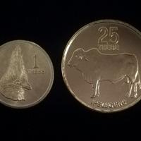 🇧🇼 Botswana 🇧🇼 Monete da 1 e 25 Thebe di Pula