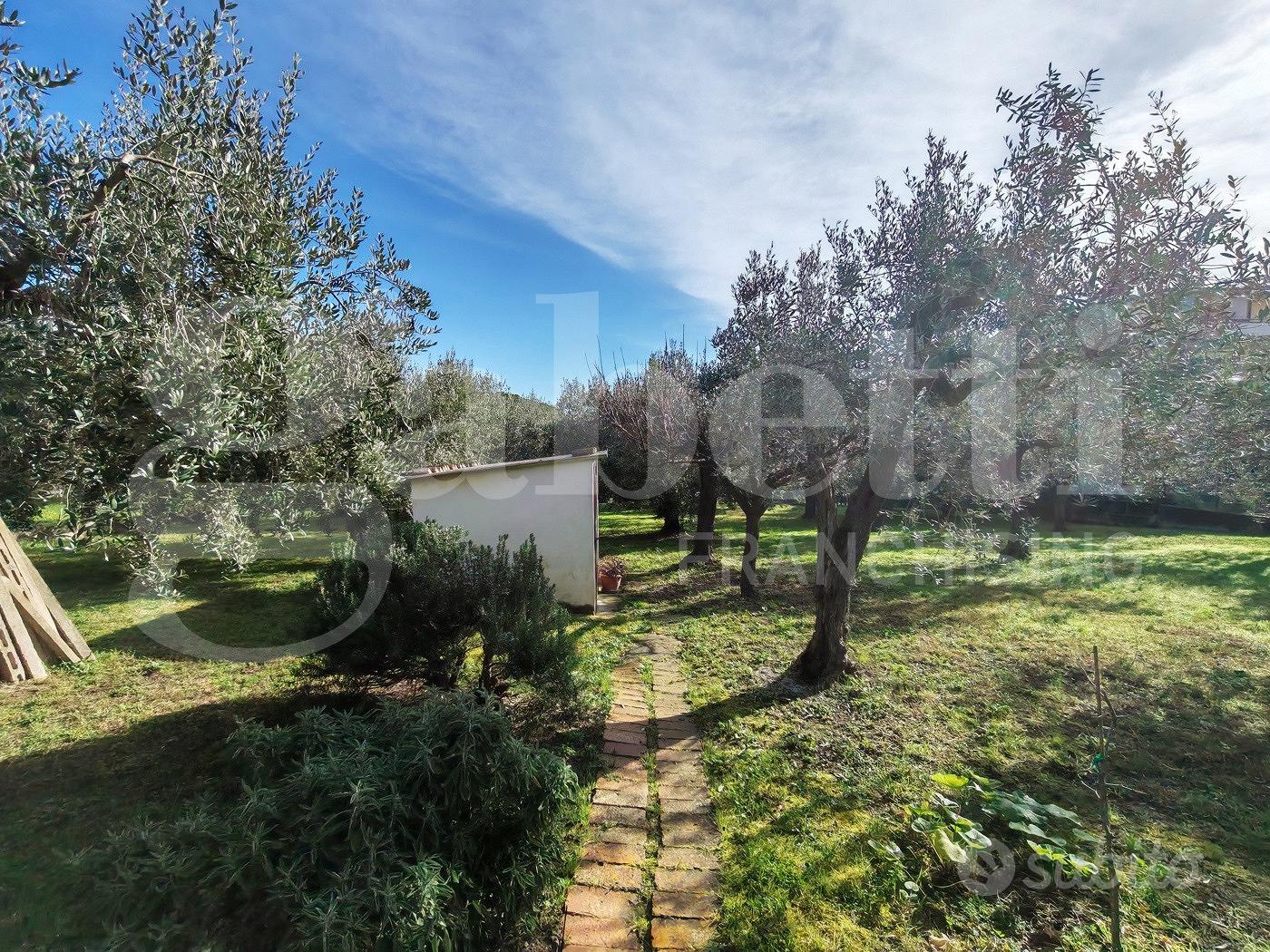 Terreno Residenziale Vasto [IM202593VRG] - Vista 5
