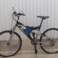 VICINI Bicicletta Sportiva