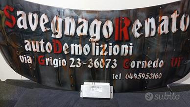 CENTRALINA ESP MERCEDES CLK Coupé W209 0195453132