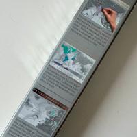 ✈️🌎 Mappamondo grattabile argento