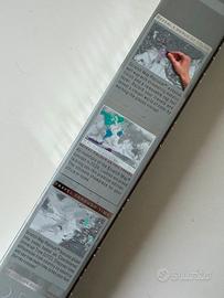 ✈️🌎 Mappamondo grattabile argento