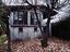 Immagine 20
