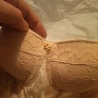 intimo guess