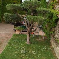 Custode manutenzione proprietà e giardini