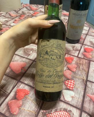 Vino collezione