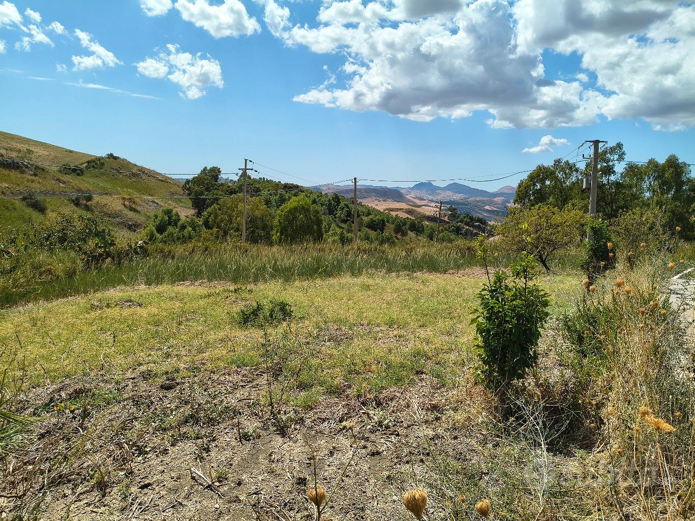 Terreno agricolo con struttura - Vista 3
