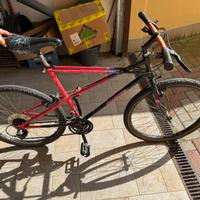 Bianchi montabike